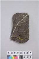 藏品(打製石斧)的圖片